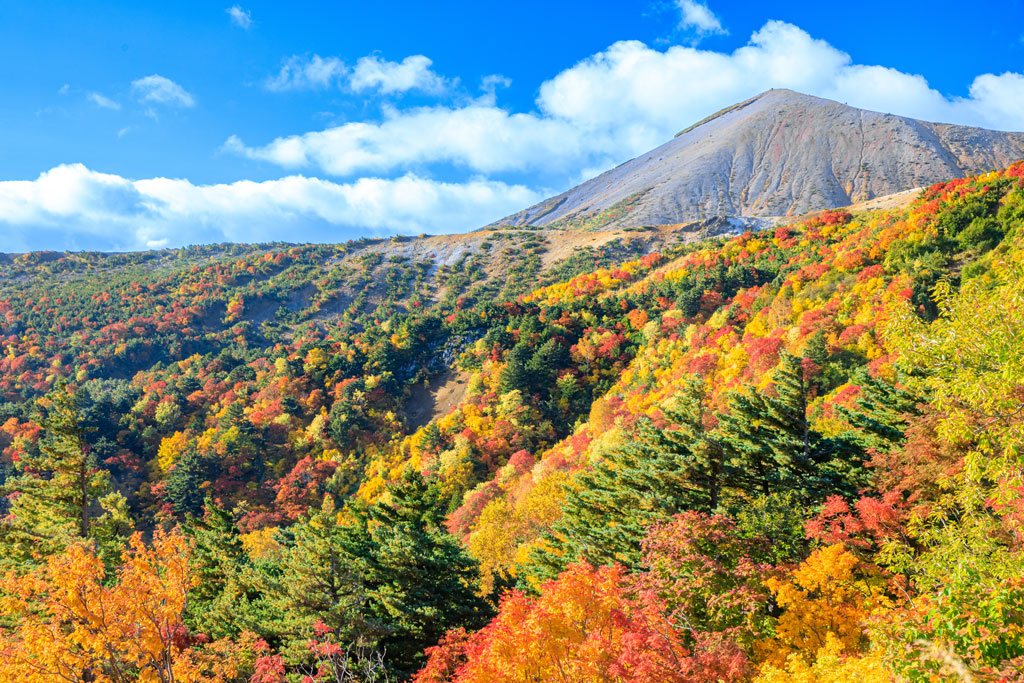患者・家族の会